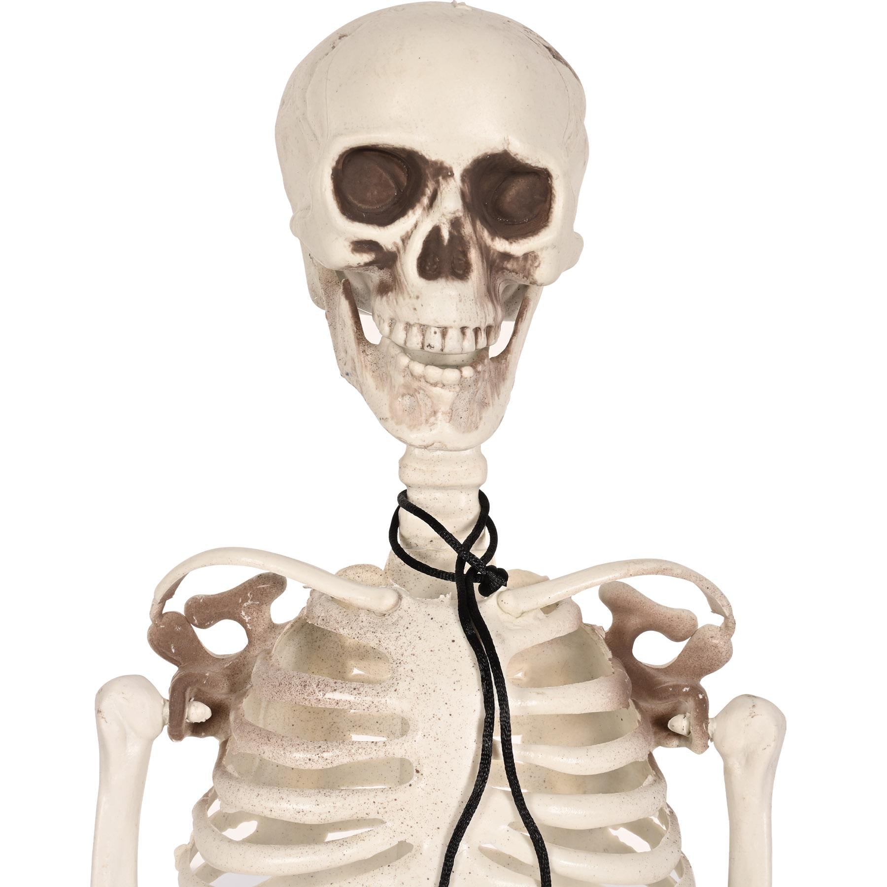 Beistle Halloween Plastic Skeleton