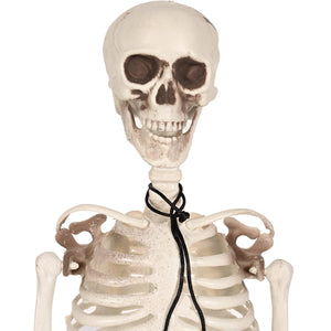 Bulk Plastic Skeleton (1 Pkgs Per Case) by Beistle