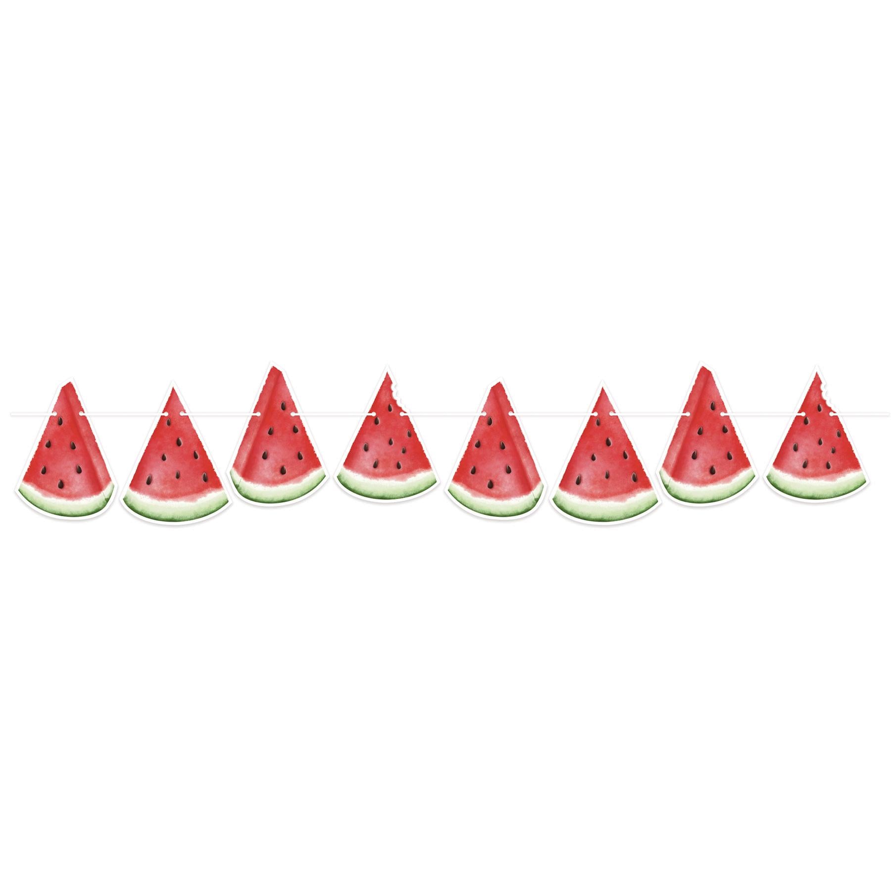 Beistle Watermelon Party Streamer (Case of 12)