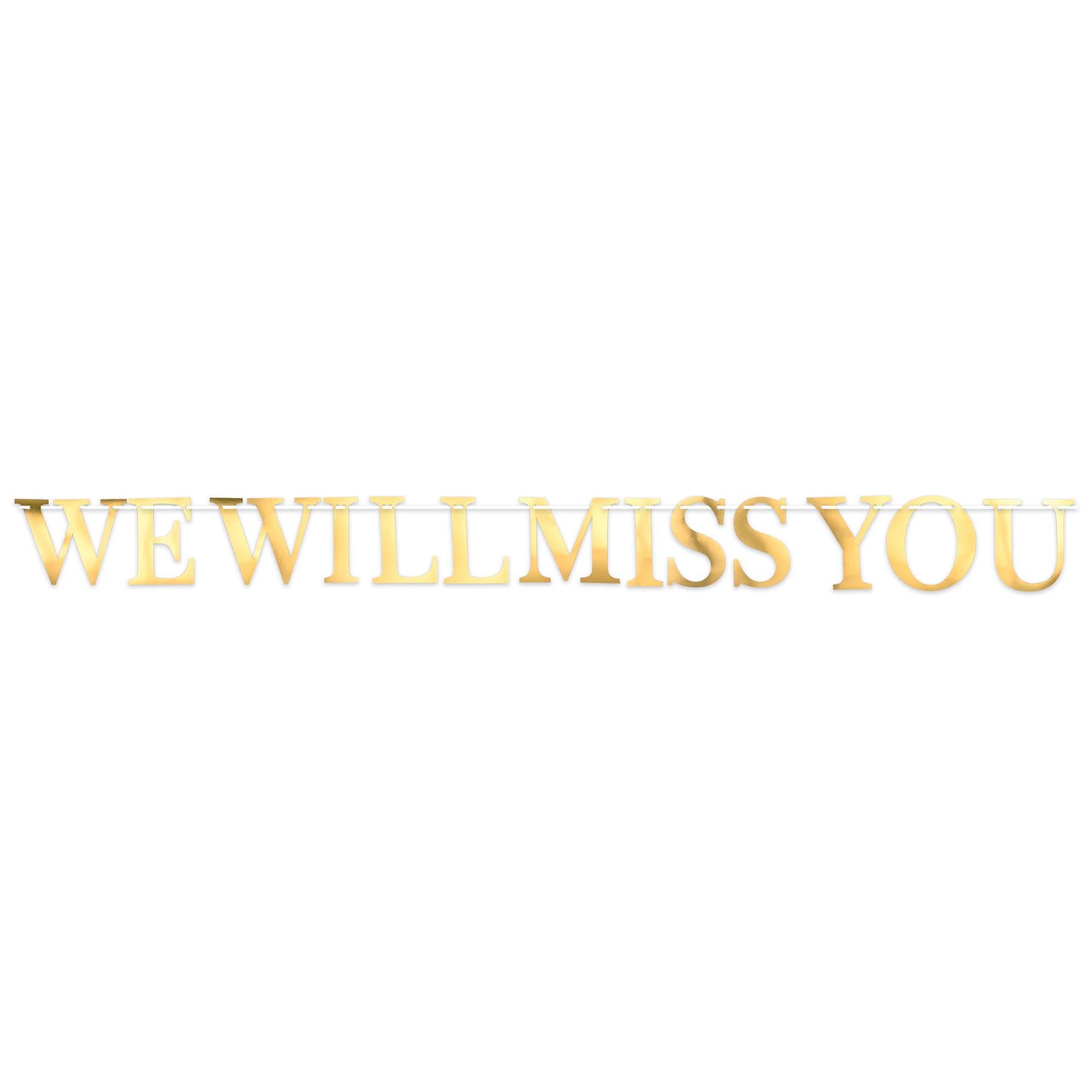 Beistle Foil "We Will Miss You" Party Streamer