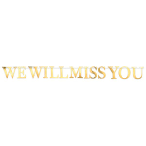 Beistle Foil "We Will Miss You" Party Streamer