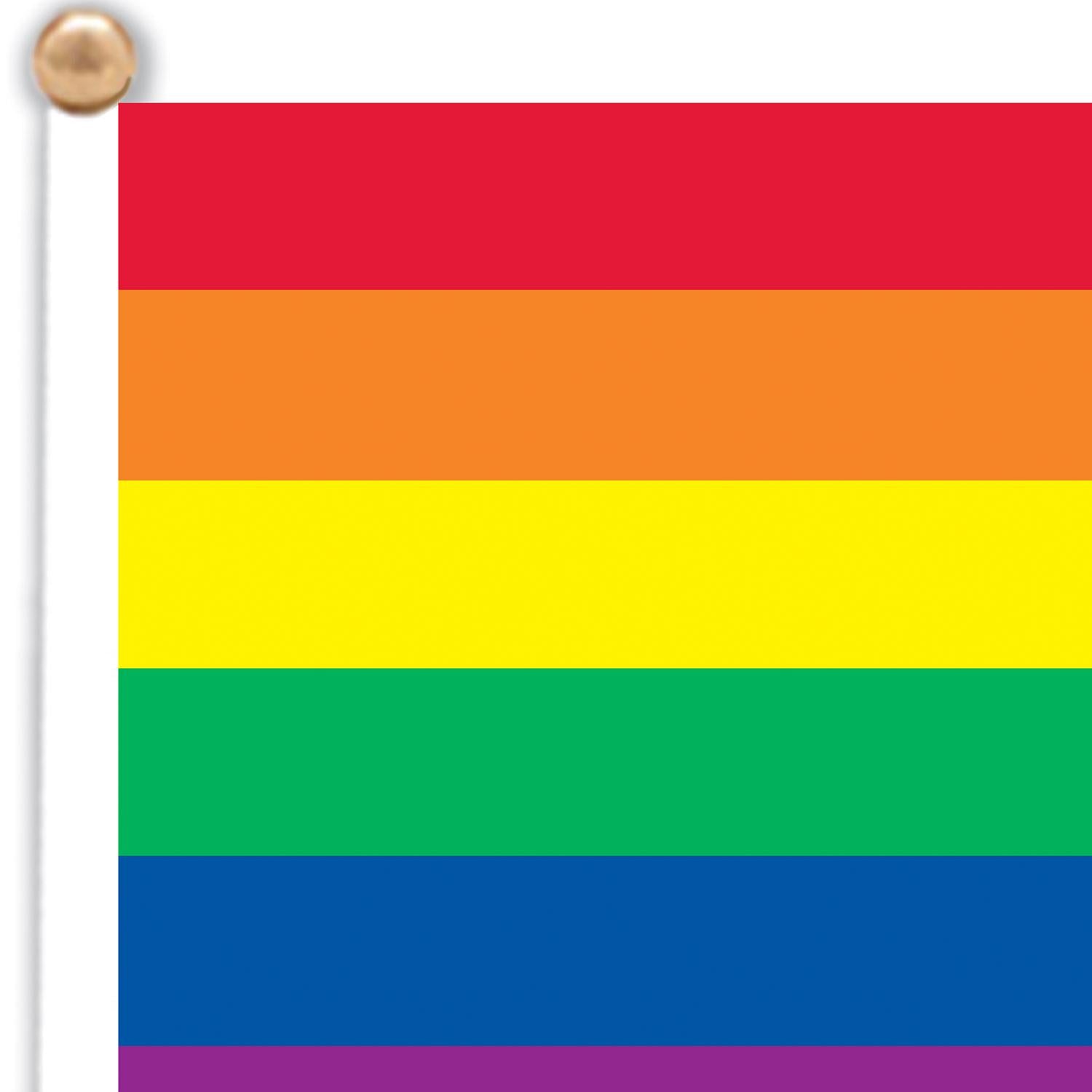 6 Inch- Beistle Rainbow Party Flag - Fabric